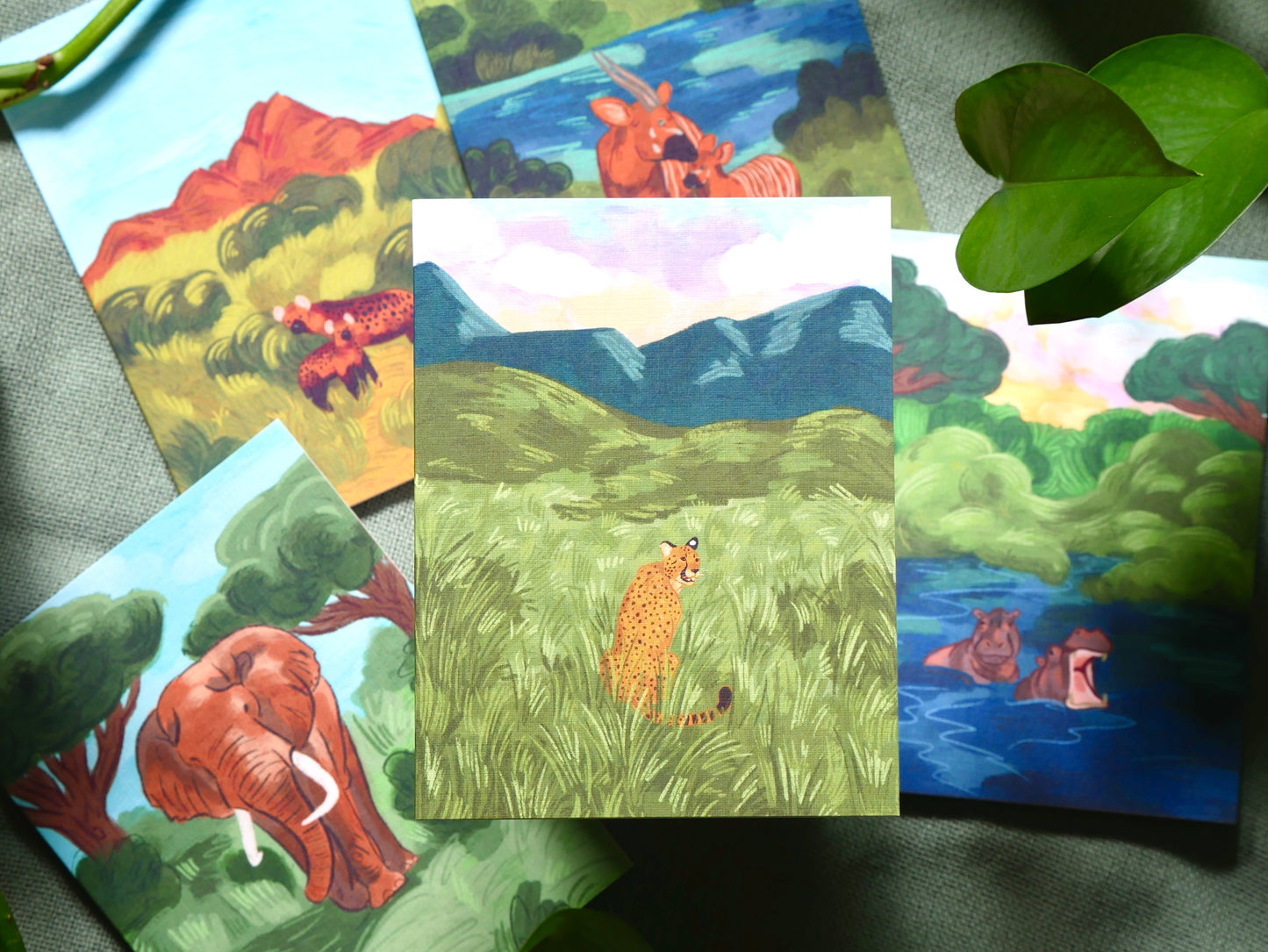 Dreams on Safari Card Pack of 5