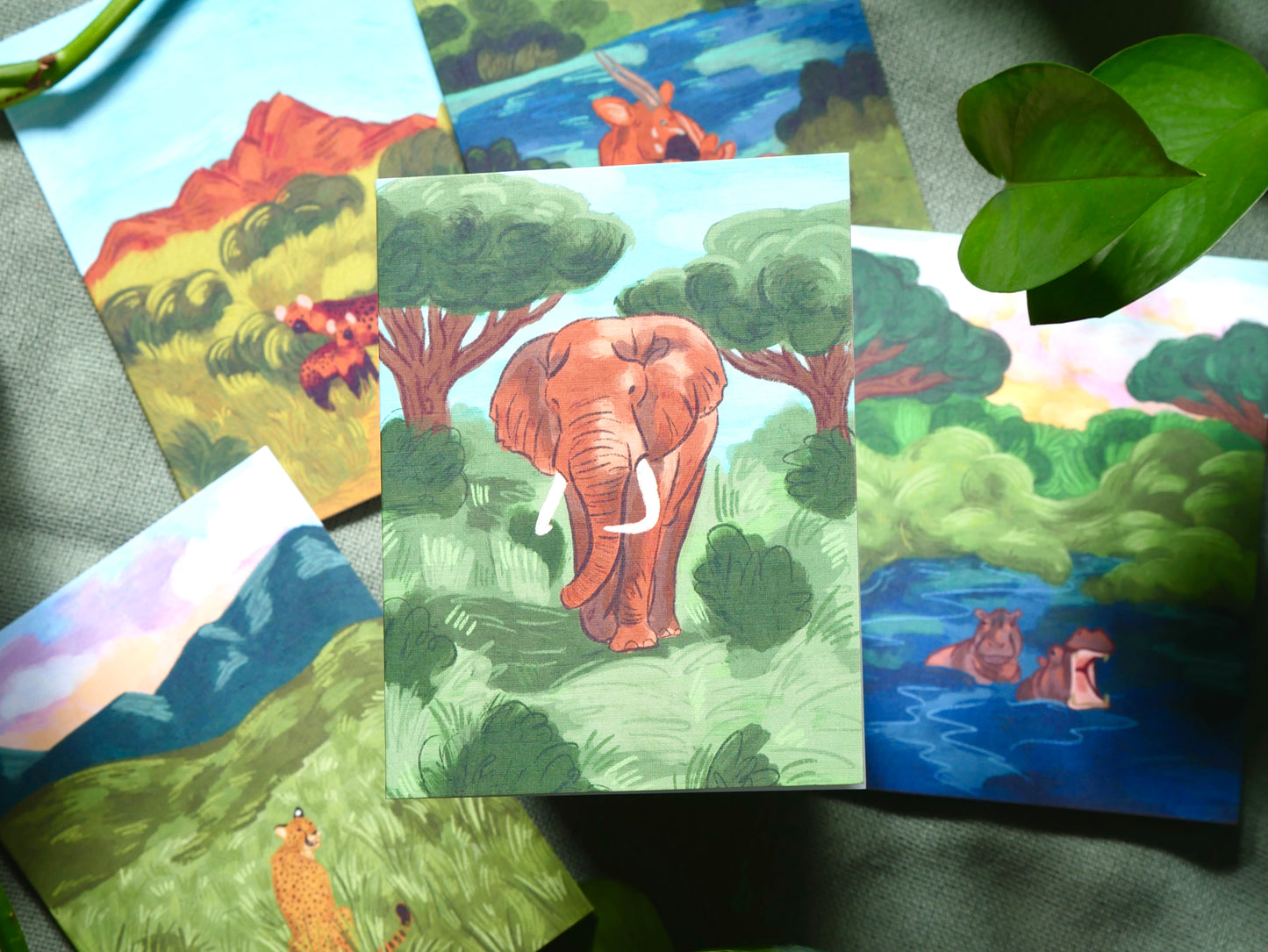 Dreams on Safari Card Pack of 5