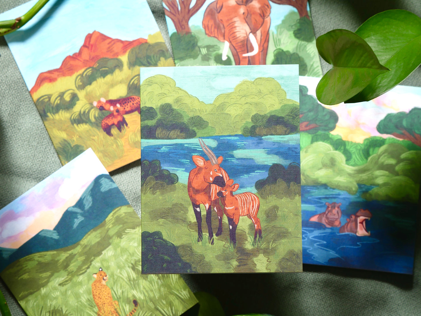 Dreams on Safari Card Pack of 5