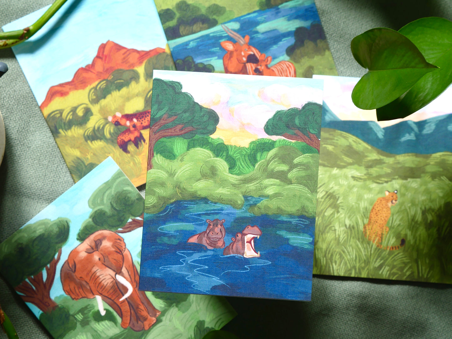 Dreams on Safari Card Pack of 5