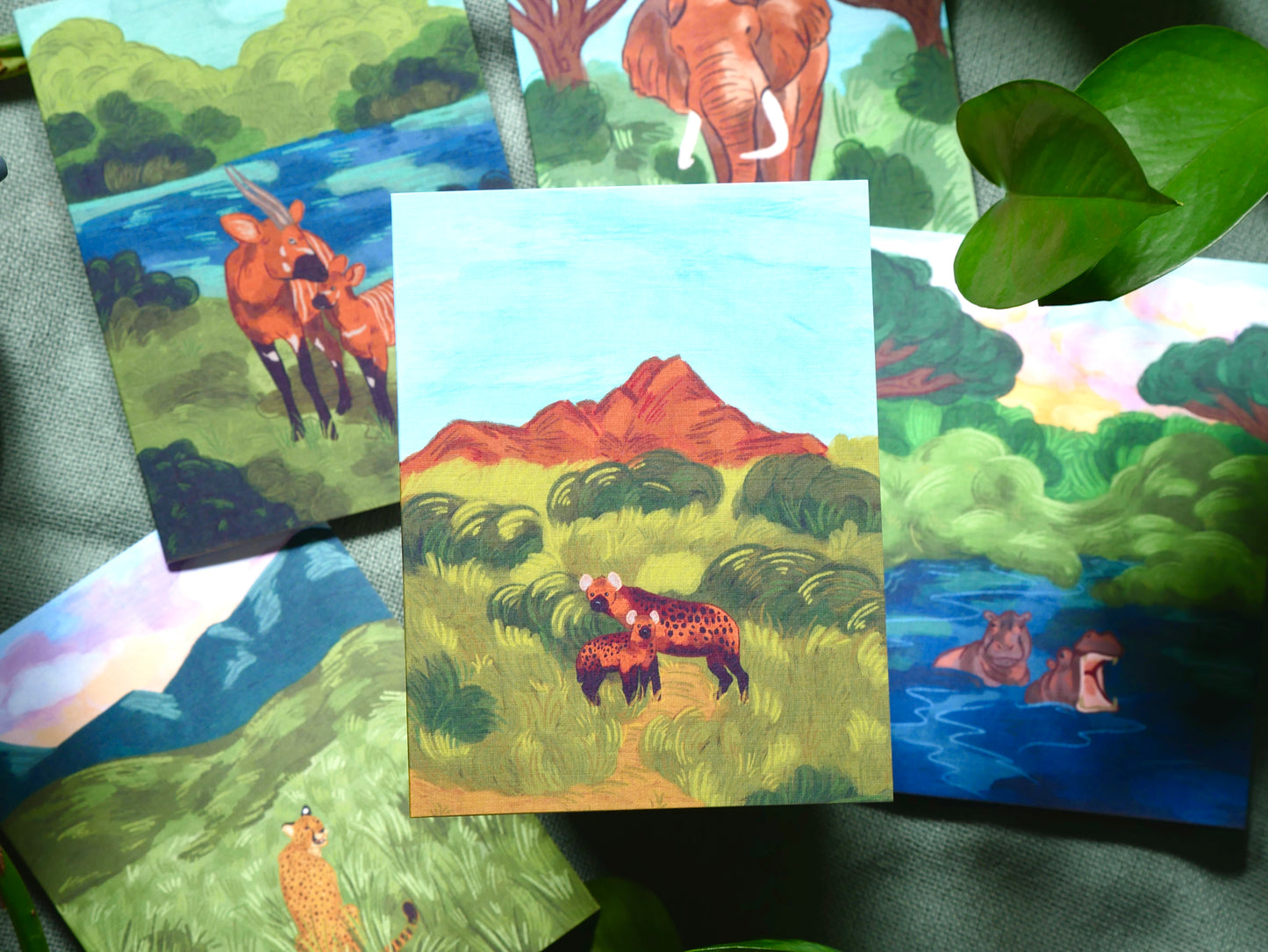 Dreams on Safari Card Pack of 5